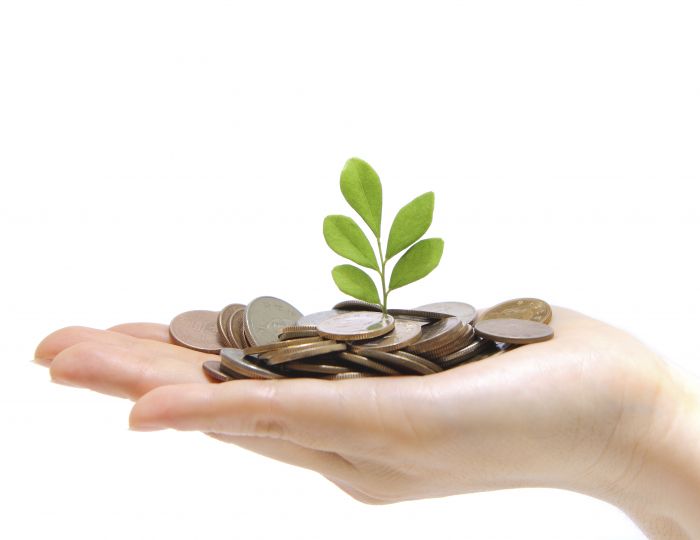 Jasa Hukum Penanaman Modal dan Investasi